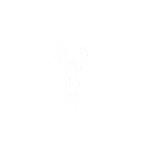 PROJECTS